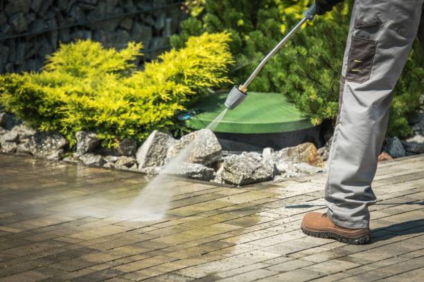 Animal Enclosure Cleaning in Streamwood, IL